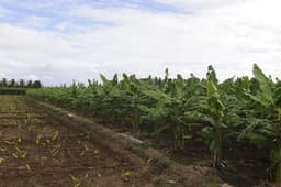 Audi Great India quattro Drive 3 photo gallery  